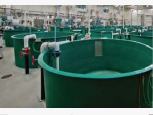 PR-Aquas-fiberglass-tanks-300x225