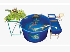 THE-MINI-FISH-FARM-300x225