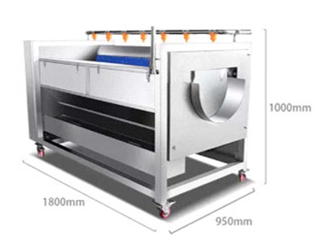 Washing and Peeling Machine