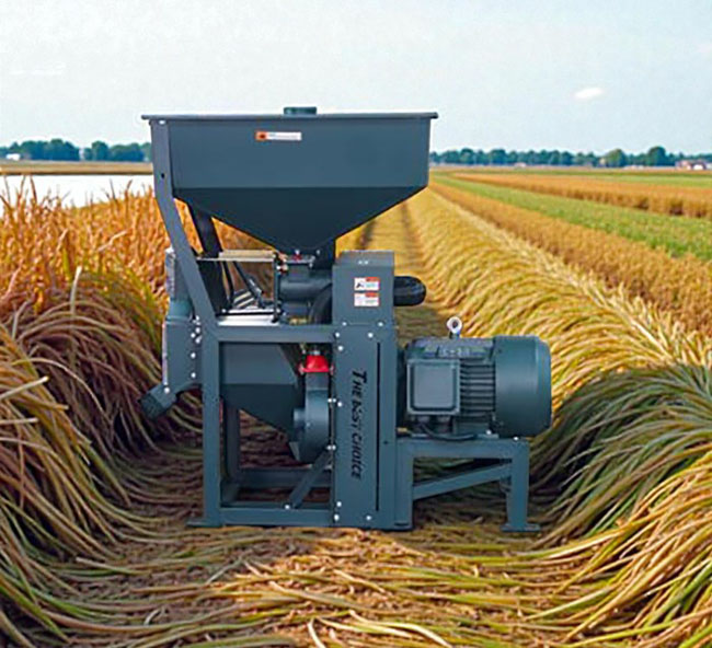 WhatsApp Image 2025-11-12 at 12.10