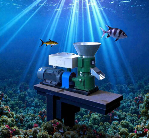 FISH-FEED-PELLETING-MACHINE-300x225 two