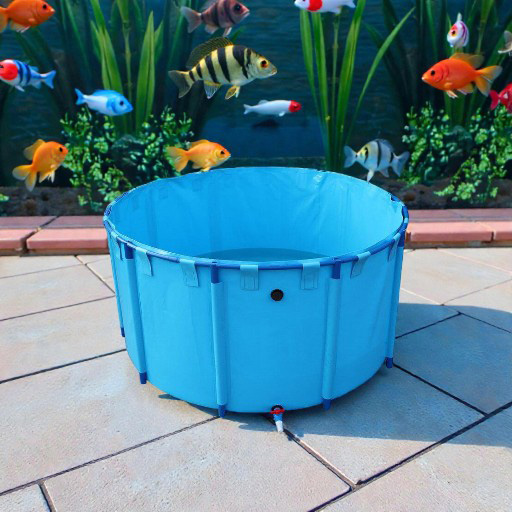 WhatsApp Image 2025-12-05 at 12.09