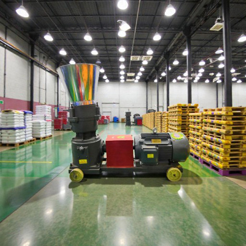 WhatsApp Image 2025-12-05 at 12.09