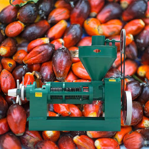 WhatsApp Image 2025-12-05 at 12.09