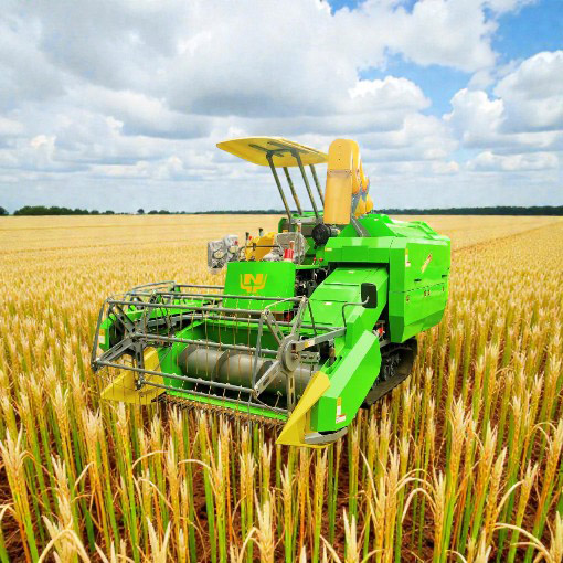 WhatsApp Image 2025-12-17 at 4.57