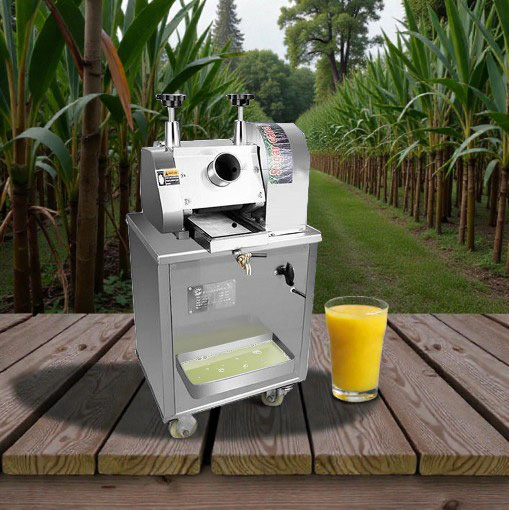 sugarcane juicer (1)